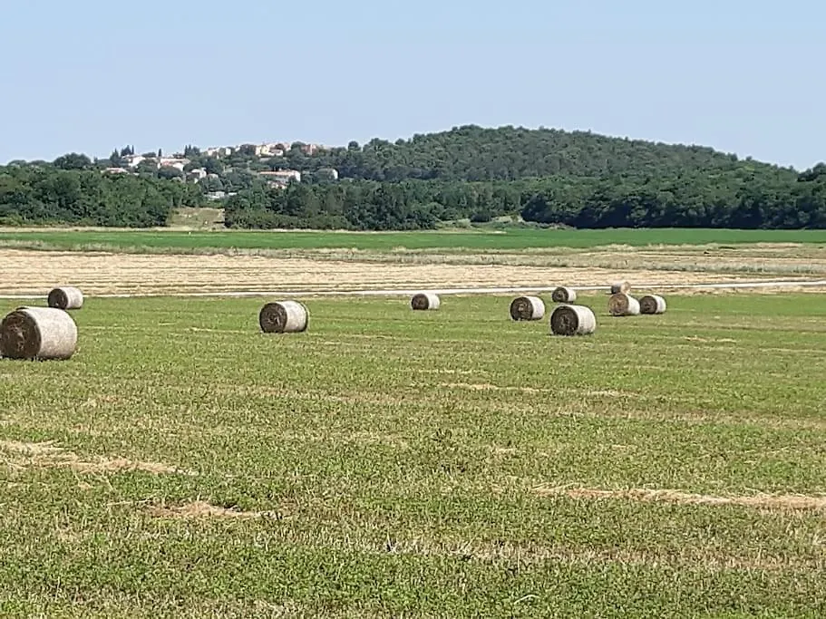Villa Goistria Fuškulin
